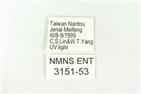 樹形尺蛾藏品圖，第3張