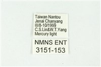 白斑散紋夜蛾藏品圖，第3張