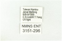 樹形尺蛾藏品圖，第3張