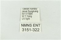 連珠波紋蛾藏品圖，第3張