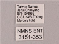 栗六點天蛾藏品圖，第3張