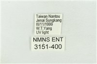 素木氏美波紋蛾藏品圖，第3張