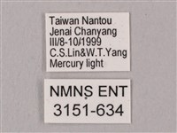 桃紅六點天蛾藏品圖，第3張