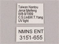 井上氏絨毛天蛾藏品圖，第3張