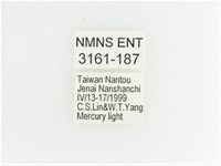 艷金龜藏品圖，第2張