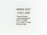 艷金龜藏品圖，第2張