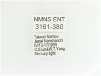 艷金龜藏品圖，第2張