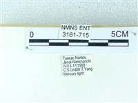 粉蝶燈蛾藏品圖，第3張