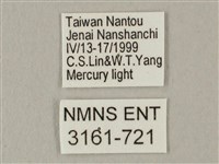 白點天蛾 藏品圖，第3張