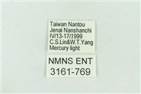 菊池污燈蛾藏品圖，第3張