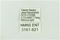 菊池污燈蛾藏品圖，第3張