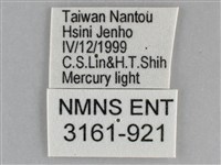 扁刺蛾藏品圖，第3張