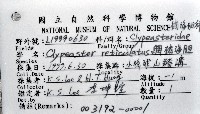 網楯海膽藏品圖，第12張