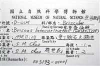 脊背壺海膽藏品圖，第12張