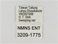 薑弄蝶藏品圖，第3張