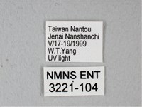 緣點白粉蝶藏品圖，第3張