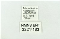 臺灣銀斑異波紋蛾藏品圖，第3張