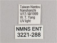 彎黑黃鉤蛾藏品圖，第3張