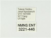 白星駝蛾藏品圖，第3張