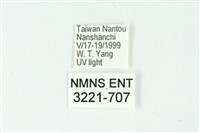 三條橙燈蛾藏品圖，第3張