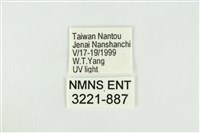 寬紋黃毒蛾藏品圖，第3張