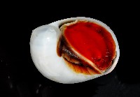 黑唇玉螺藏品圖，第2張