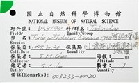 貓眼蠑螺藏品圖，第16張