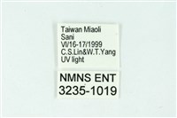 三條橙燈蛾藏品圖，第3張