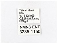 木毒蛾藏品圖，第3張