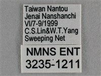 波灰蝶藏品圖，第3張