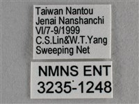 紫日灰蝶藏品圖，第3張