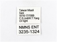 木毒蛾藏品圖，第3張