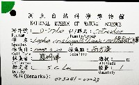 鋸齒牡蠣藏品圖，第8張