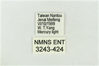 臺洒波紋蛾藏品圖，第3張