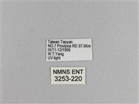 松大毛蟲藏品圖，第3張