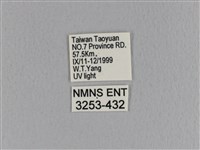 大褐斑枯葉蛾藏品圖，第3張