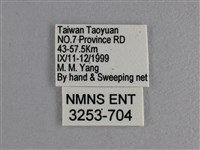 玉帶弄蝶藏品圖，第3張