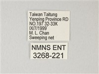淡青雅波灰蝶藏品圖，第3張