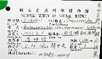 棘疣海星藏品圖，第12張