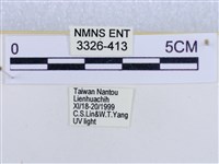 後凸蝶燈蛾藏品圖，第3張