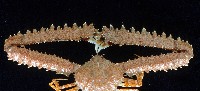長手菱蟹藏品圖，第2張