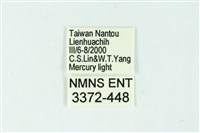 三條橙燈蛾藏品圖，第3張