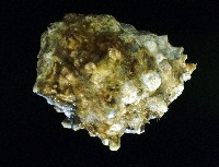 玫瑰岩螺藏品圖，第4張