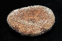 網楯海膽藏品圖，第7張
