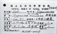 網楯海膽藏品圖，第8張