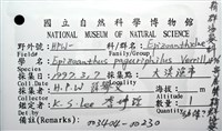 寄居蟹鞘群海葵藏品圖，第14張