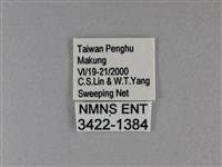 黑星弄蝶藏品圖，第3張