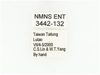 藍艷白點花金龜藏品圖，第2張