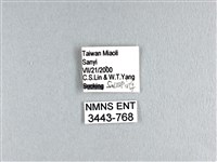 花鳳蝶、無尾鳳蝶藏品圖，第3張