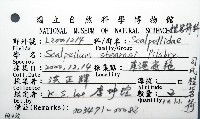 司氏鎧茗荷藏品圖，第8張